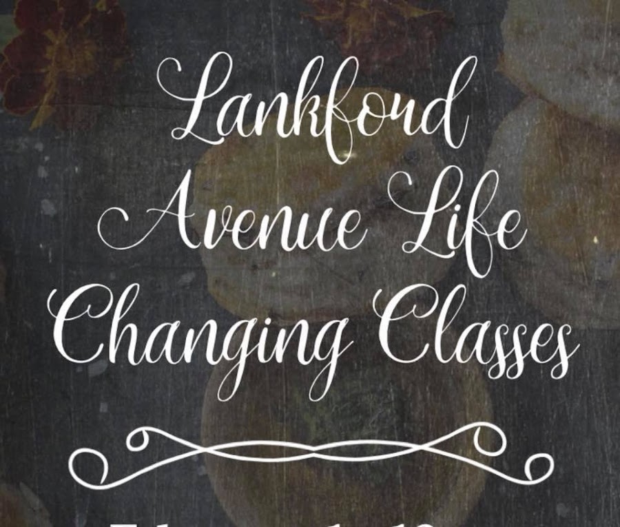 LANKFORD AVENUE, LLC provider image